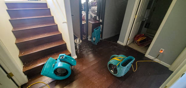  Rlsbad, CA Water damage restoration Pros