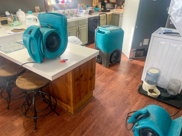 Best Carpet water damage restoration  in Rlsbad, CA