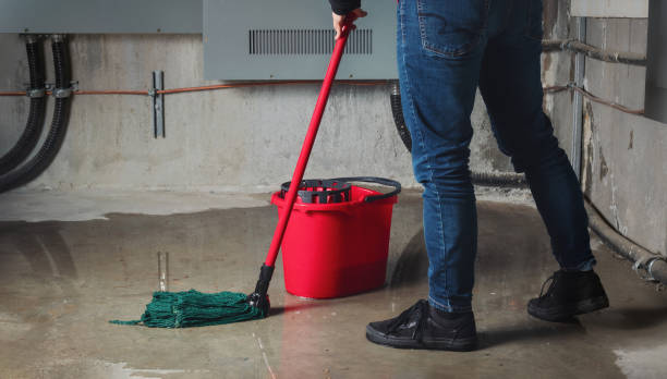 Best Water damage restoration near me  in Rlsbad, CA