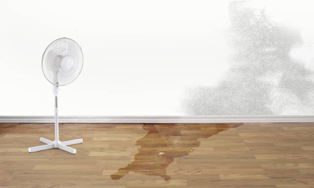 24/7 water damage repair in Carlsbad, CA