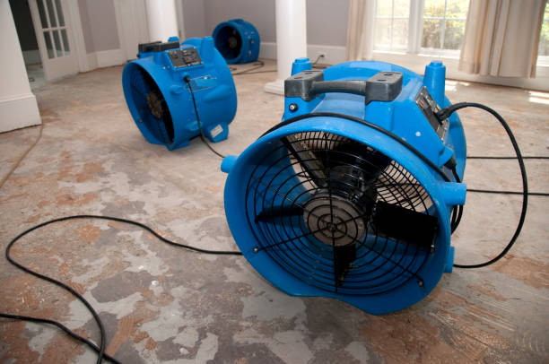 Best Water damage restoration specialists  in Rlsbad, CA