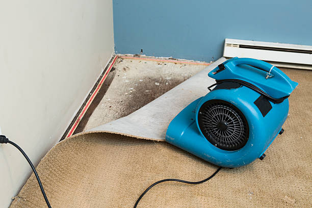 Best Commercial water damage restoration  in Rlsbad, CA